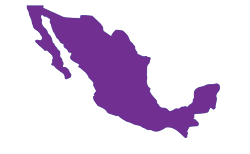 Presencia Veralto Mexico